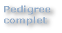 wp468bf089.png